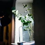 Guesthouset Vivante Basement 3*