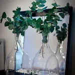 Vivante Basement Guesthouset