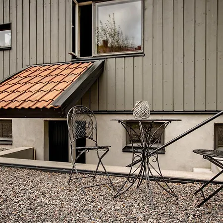 Guest house Vivante Basement *