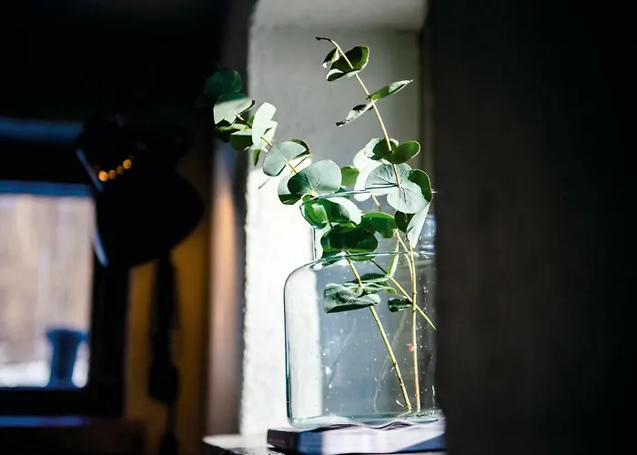 Guest house Vivante Basement 3*