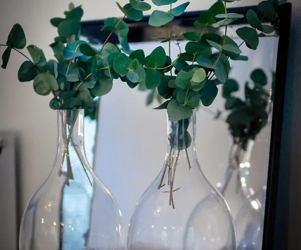 Vivante Basement Guest house